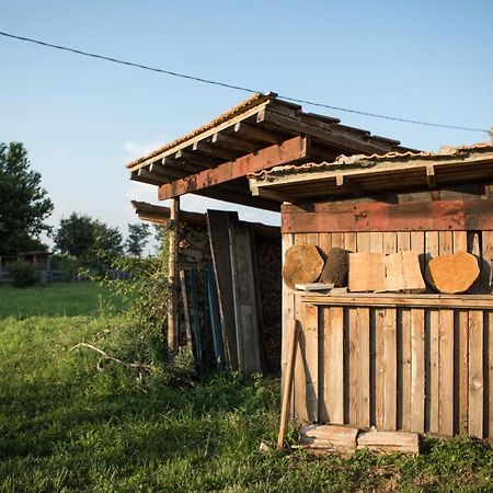 B&B Casa Campagnari Roverbella エクステリア 写真