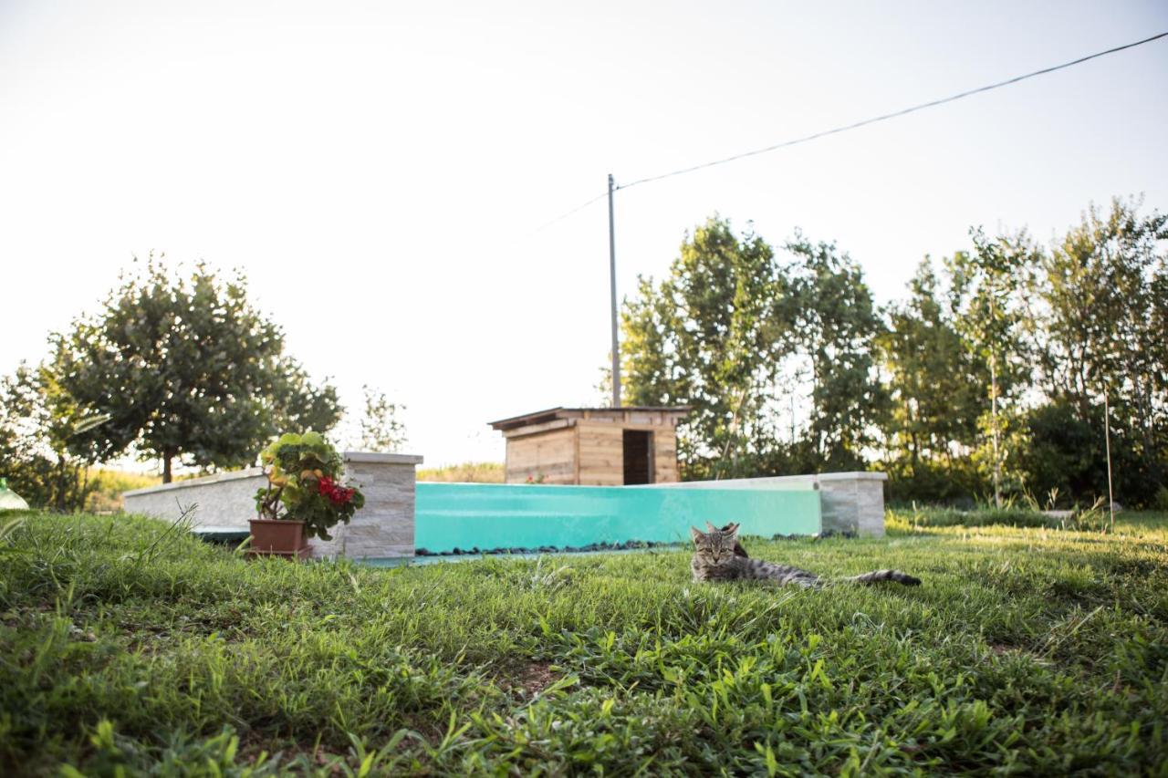 B&B Casa Campagnari Roverbella エクステリア 写真